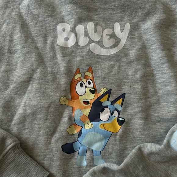 NEW Women’s Bluey Graphic Sweatshirt. - Picture 4 of 10
